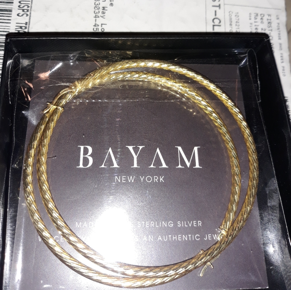 Silver and gold Hoop Earrings